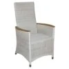 Zebra Loomus Gartensessel Geflecht Mit Teakarmlehnen Silkwhite -Gartenmöbelgeschäft 903180 1